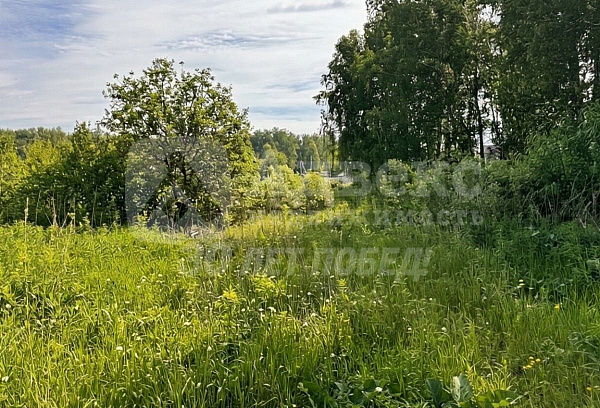 Участок, 8 сот.