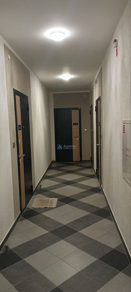 Квартира студия, 25 м² Квартира студия, 25 м²