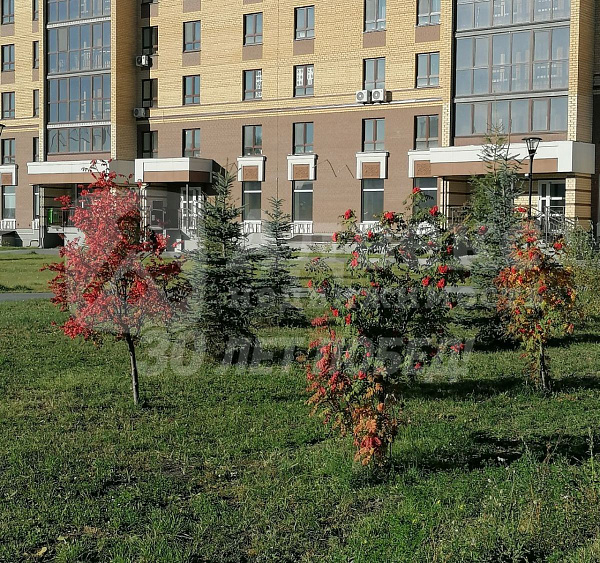 1-к квартира, 34 кв.м.