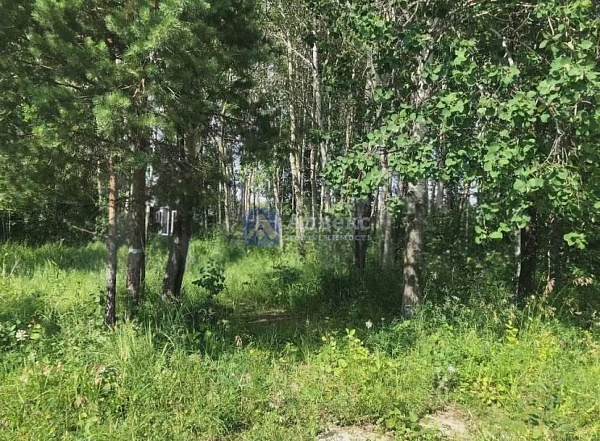 Участок, 14.5 сот.