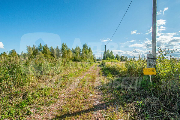 Участок, 10 сот.