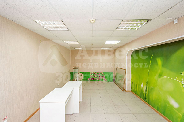 Офисные помещения 74.7 м²