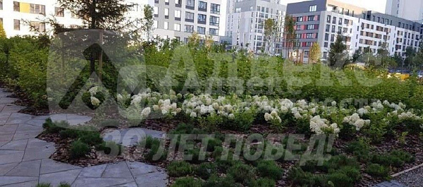 Студия, 31 кв.м.