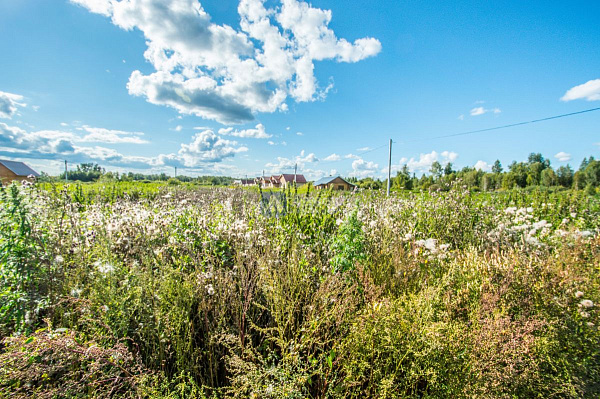 Участок, 10 сот. Участок, 10 сот.