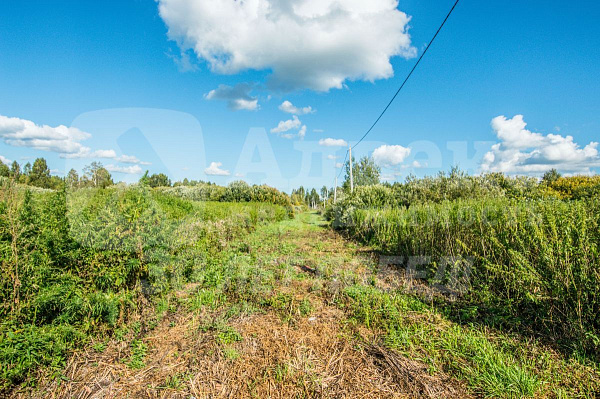 Участок, 10 сот.