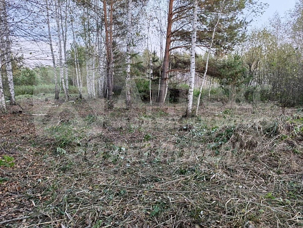 Участок, 10 сот.