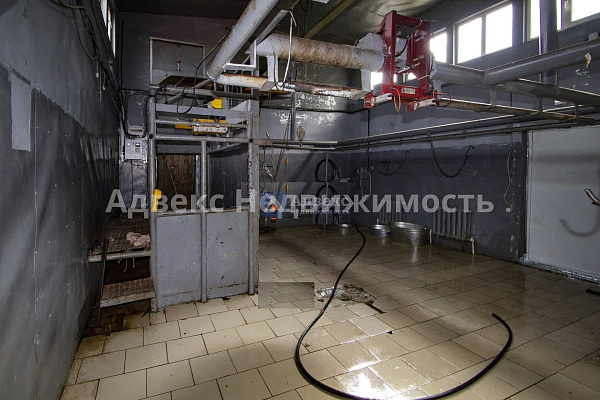 Бизнес-центр, 127 кв.м. Бизнес-центр, 127 кв.м.
