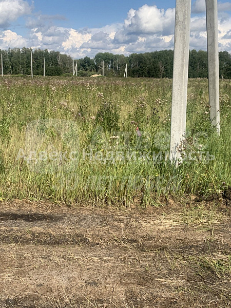 Участок 7.22 сот.