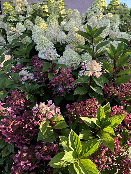 Дача/Коттедж, 91.9 кв.м.