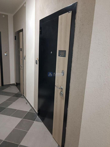 Квартира студия, 24 м²