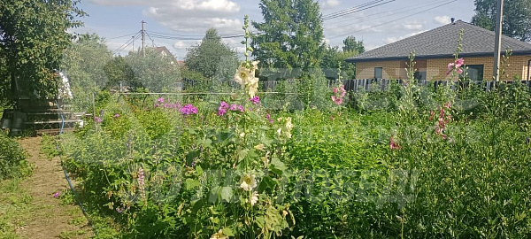 Участок 7 сот.