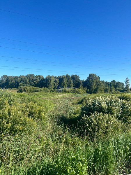 Участок, 5 сот.