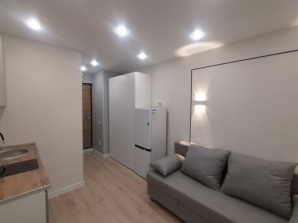 Квартира 1-комн., 29.7 м²