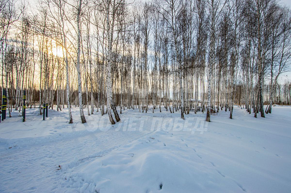 Участок, 12 сот.