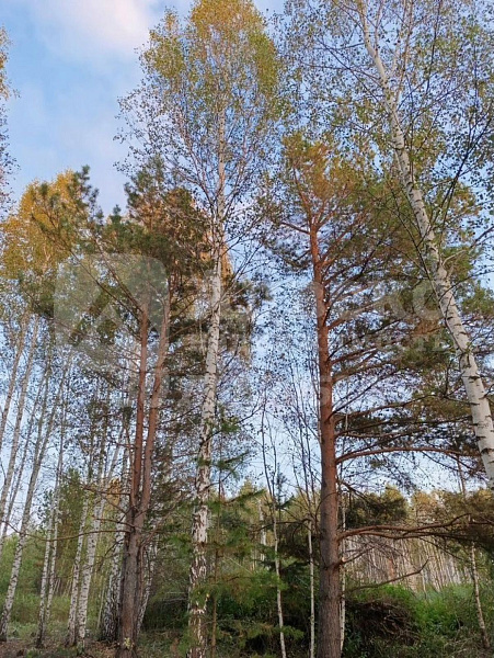 Участок, 9.74 сот.