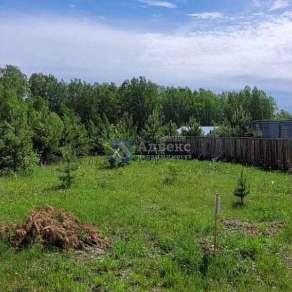 Участок, 99 сот.