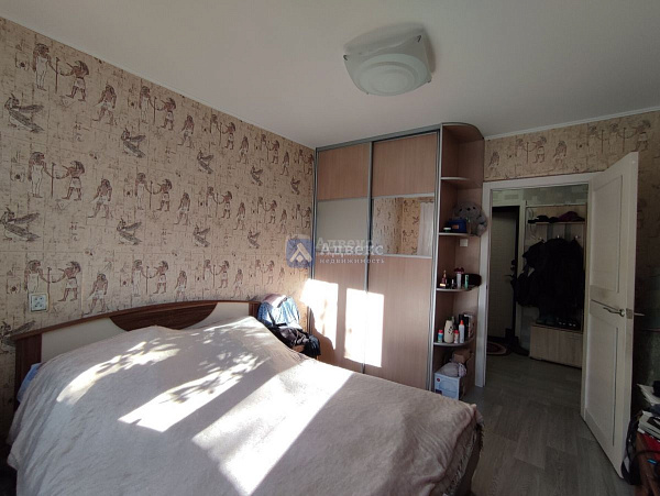 Квартира 2-комн., 50.5 м² Квартира 2-комн., 50.5 м²