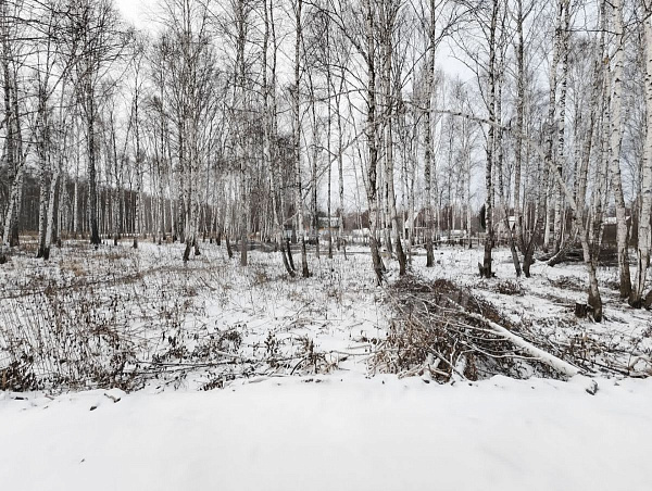 Участок, 10 сот.