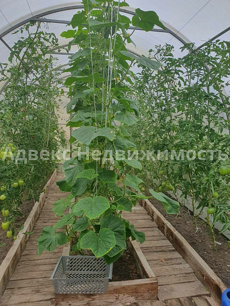 Дом 41 м²