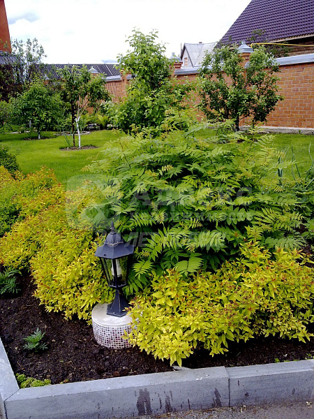 Коттедж 347.9 м²