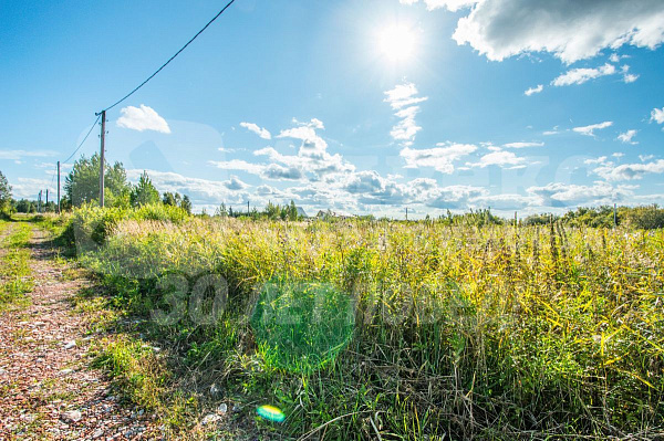 Участок 10 сот.