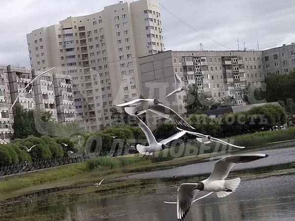 Квартира 2-комн., 51 м²