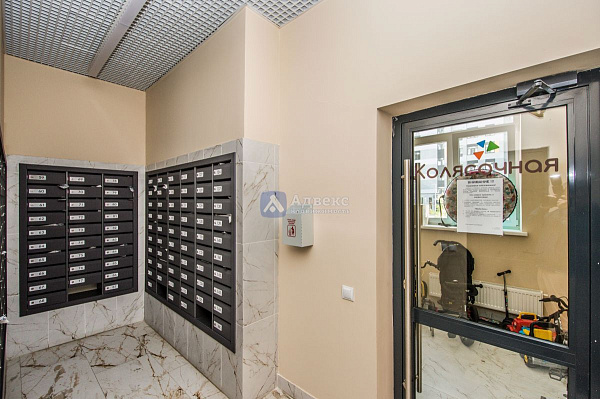 Квартира студия, 24 м² Квартира студия, 24 м²