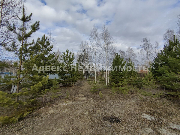 Участок 14.5 сот.