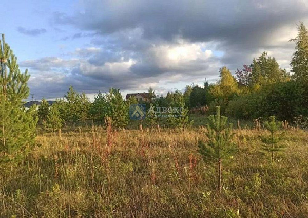 Участок 11 сот.