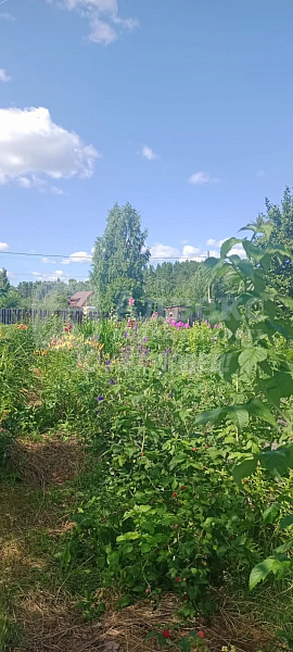 Участок 7 сот.