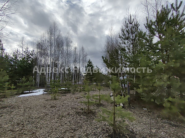 Участок 14.5 сот.