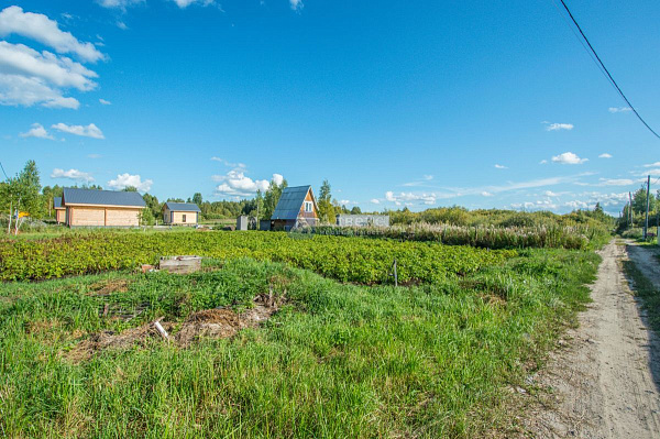 Участок 10 сот.