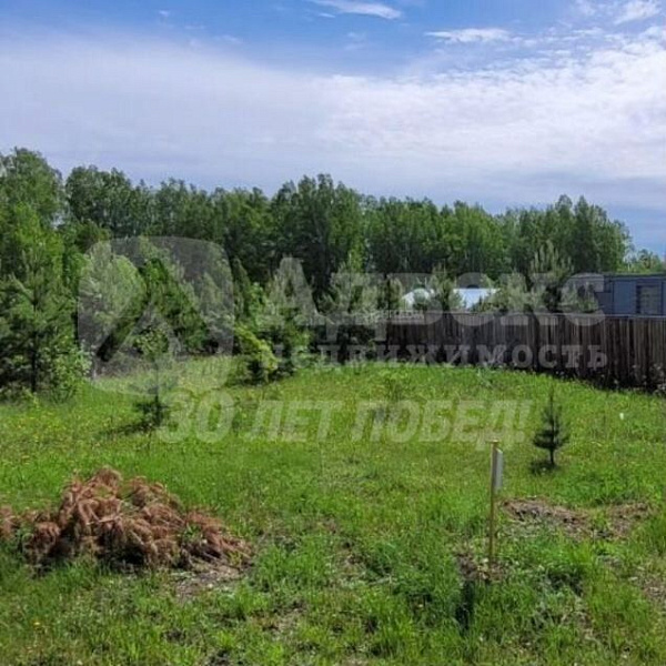 Участок 99 сот.