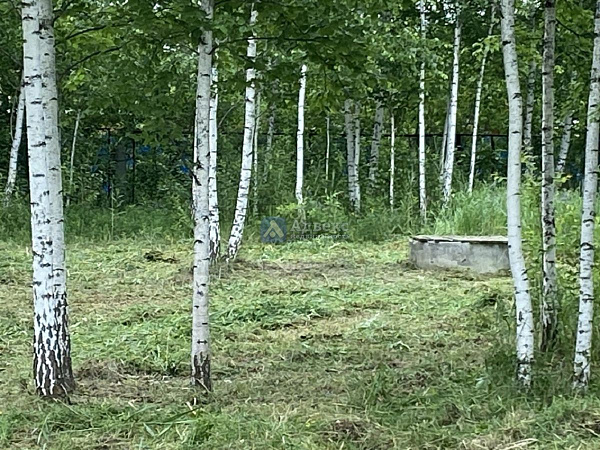 Дача/Коттедж, 125.3 кв.м. Дача/Коттедж, 125.3 кв.м.