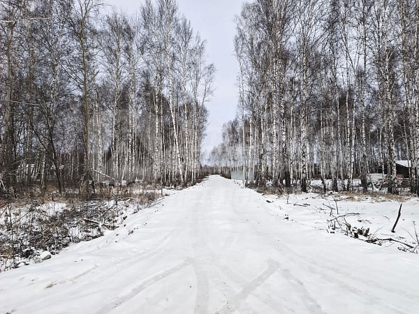 Участок, 10 сот.