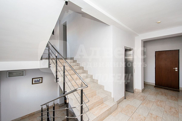 Квартира 1-комн., 49.1 м²