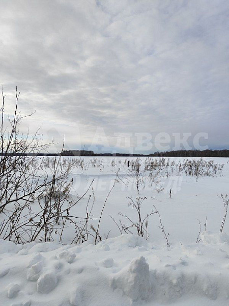 Участок, 10 сот.