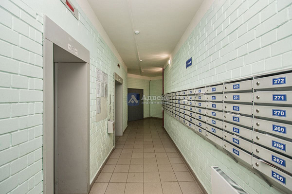 Квартира 2-комн., 53 м² Квартира 2-комн., 53 м²