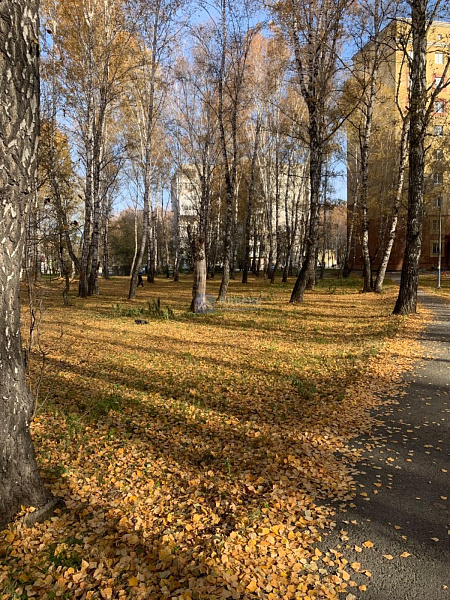 Квартира 1-комн., 33.5 м² Квартира 1-комн., 33.5 м²