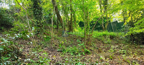 Участок 5 сот.