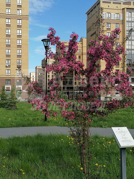 1-к квартира, 34 кв.м.