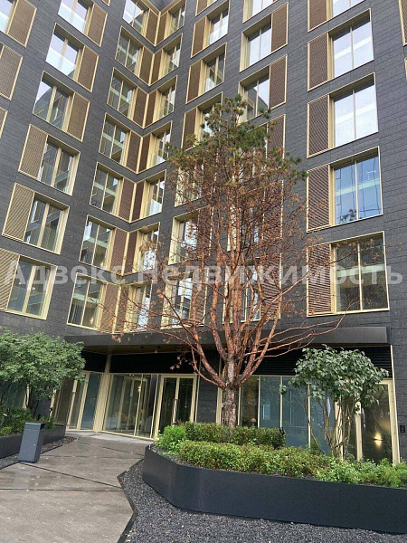 Квартира студия, 114.8 м²