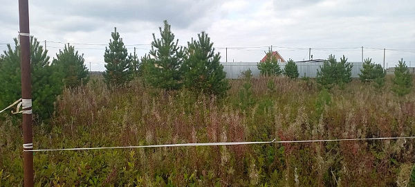 Участок, 6 сот.