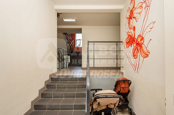 Квартира студия, 24.1 м²