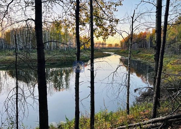 Участок 19.28 сот.