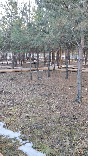 Квартира 1-комн., 31.33 м²