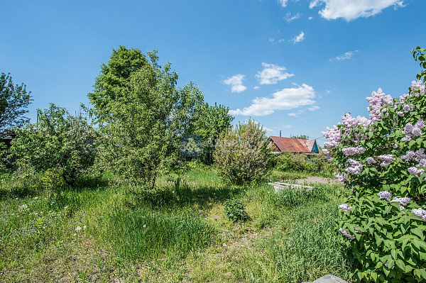 Участок, 8 сот.