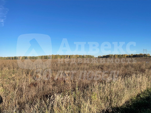 Участок 6.2 сот.