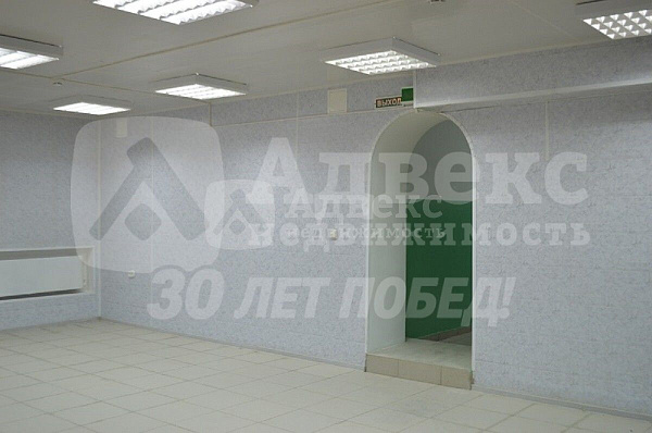 Бизнес-центр, 210 кв.м.