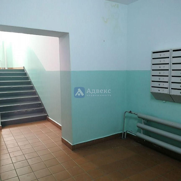 Квартира 1-комн., 53 м² Квартира 1-комн., 53 м²